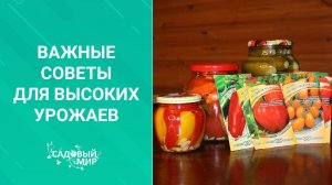 Важные советы для высоких урожаев