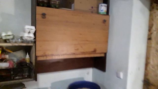 🌻🌻🌻ЛЕГГОРН СТАНДАРТ И ИХ ДЕТКИ ПОДСЕЛИЛА К НИМ🌻🌻🌻 смотреть онлайн