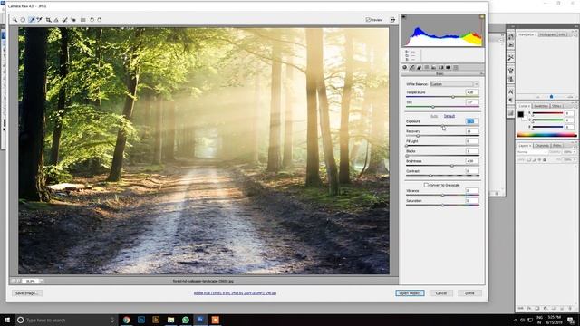 Camera Raw Filter in photoshop cs3 смотреть онлайн