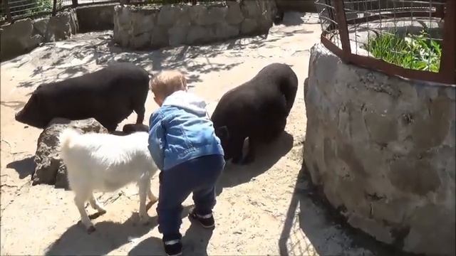 Зоопарк "Сказка" (г. Ялта, Крым) - 03.05.14 смотреть онлайн