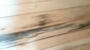 Как избавиться от черноты и плесени в деревянном доме.