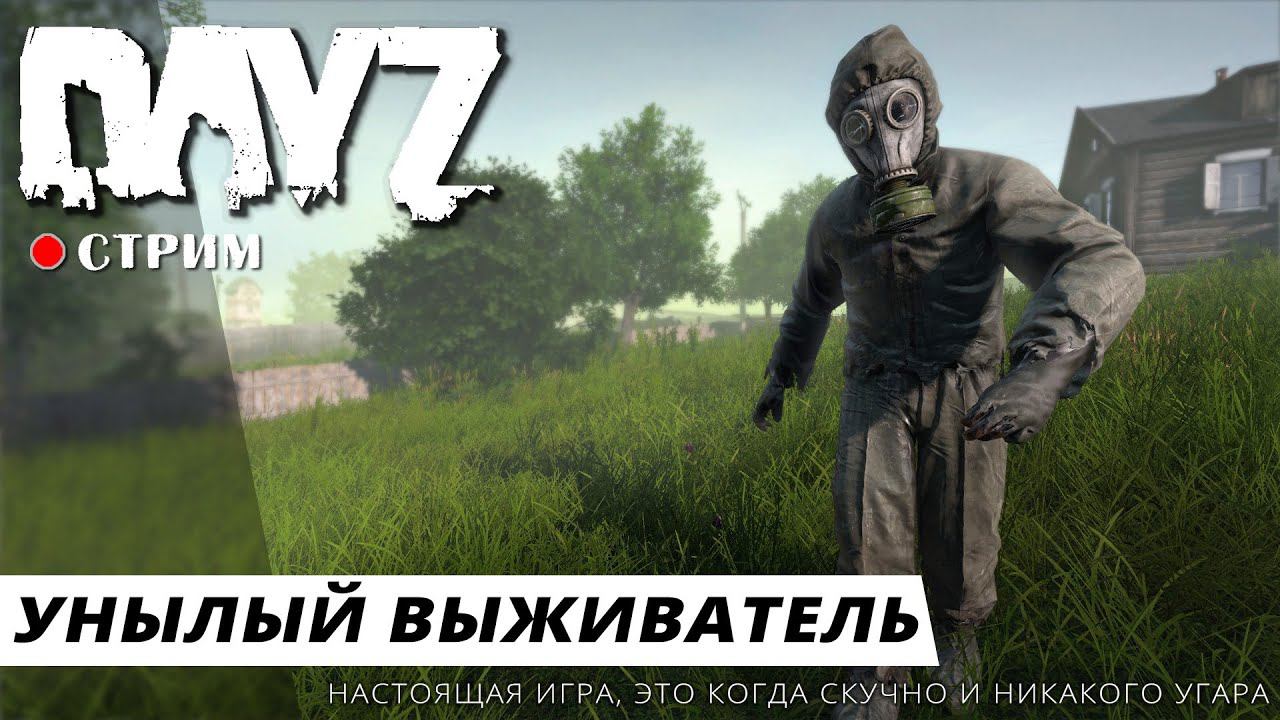 DayZ ● Унылый выживатель / стрим (s3e1) смотреть онлайн