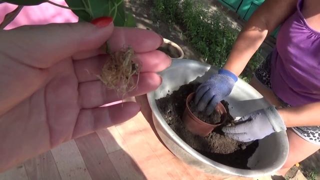 Vlog3: Один день на даче с мамой:) смотреть онлайн