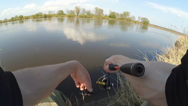 Жерех весной. Сбитый прицел смотреть онлайн