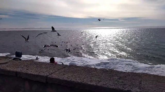 Зима.Бердянск.Немного о ногайцах. смотреть онлайн