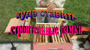 Куда ставить строительные рамки. Пчеловодство без вощины