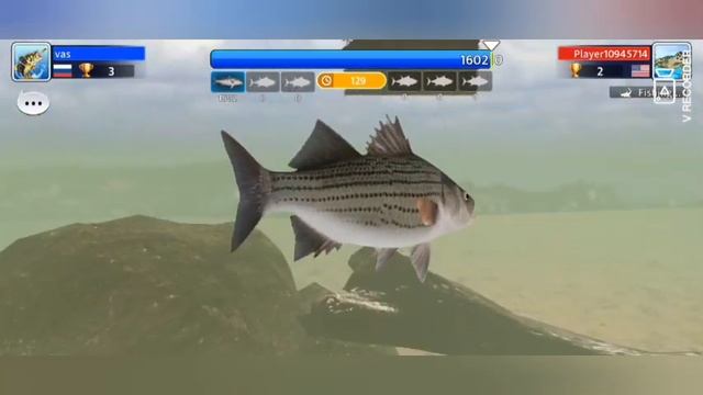 Игра Fishing Elite ранний доступ. дискриминация по национальности смотреть онлайн