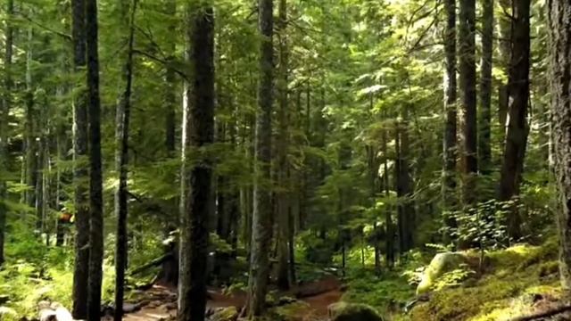 Астрологический прогноз для Рыб на сентябрь 2023 года