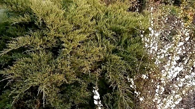 Наступила весна. Апрель 2020. Прогулка. смотреть онлайн