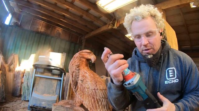 How TO CARVE a EAGLE - Helpful FUN to Watch Tutorial- 2D Full Body смотреть онлайн