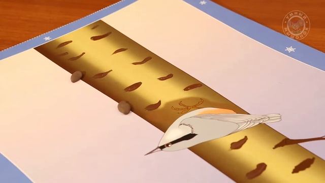 Времена года. Зима 6+ 09 Задания для детей "Поползень" смотреть онлайн