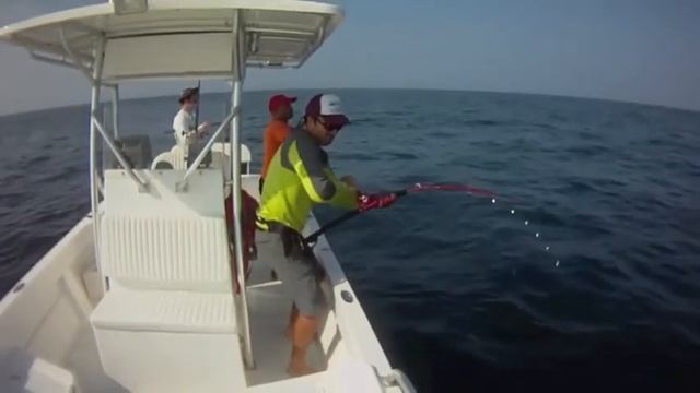 40+ JIGGING SAN JOSE смотреть онлайн