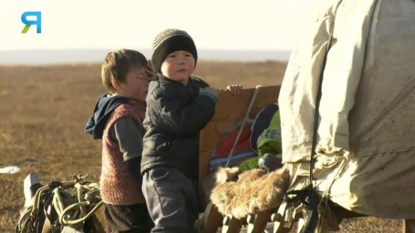 В чём счастье жизни на Севере? Простая жизнь оленеводов