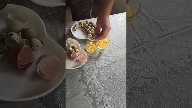 сравнение сколько перепелиных яиц замещает куриное яйцо смотреть онлайн