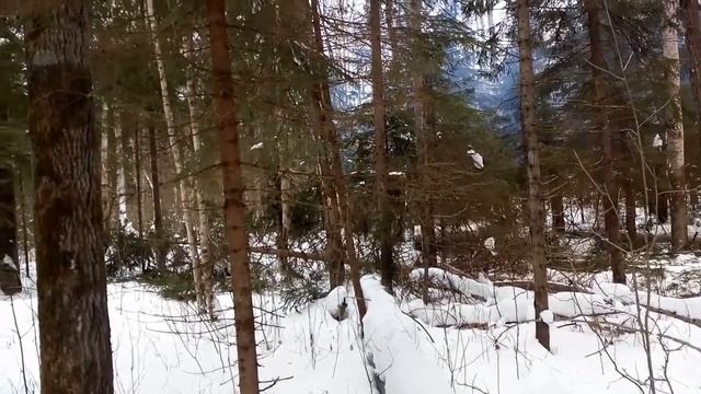 Бурение в лесу смотреть онлайн
