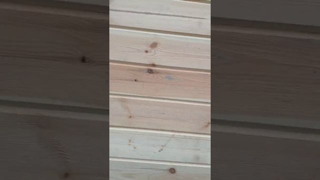 Экологически чистый Дом мечты в Подмосковье за 250 тысяч под ключ!каркасное строительство смотреть онлайн