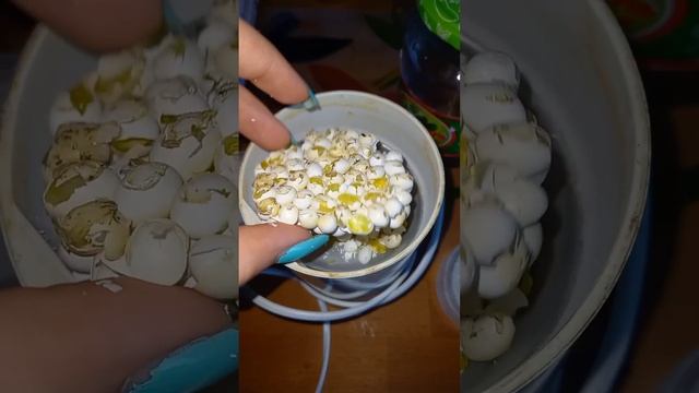 Самая полезная прикормка для улиток!??#supersnails