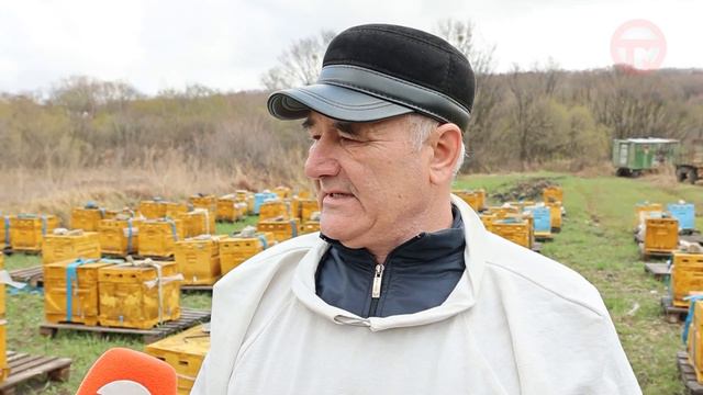 Мед с первоцветов заготавливают пчеловоды Уссурийска смотреть онлайн