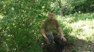 Размножение чубушника одревесневшими черенками.