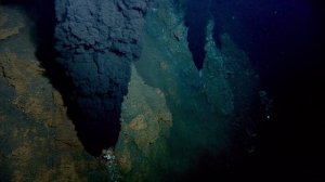 Планета Земля. 11 серия. Документальный фильм