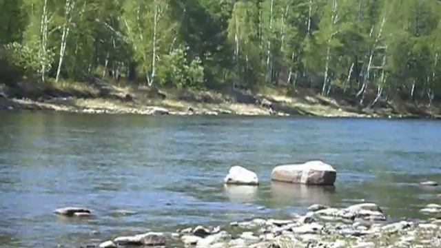 Сохатый переходит речку смотреть онлайн