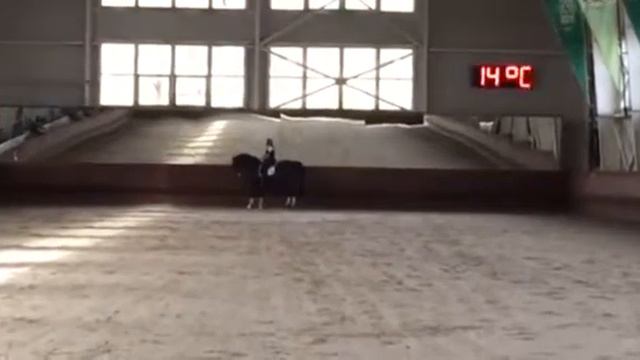 Палантин Левадия 2016 2 Кудинова Елена Хвост и Грива смотреть онлайн