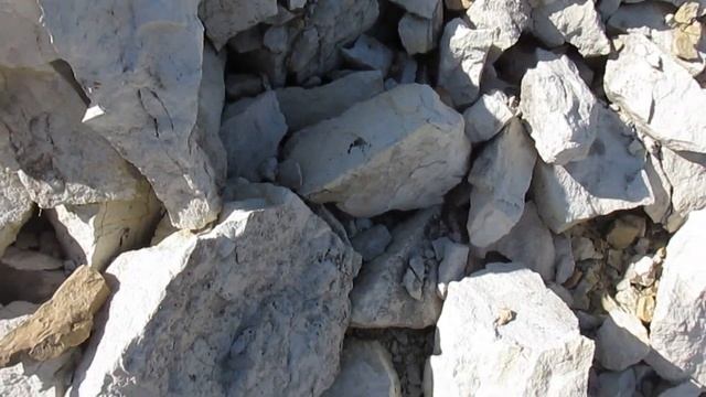 Продолжение разведки новых мест. По пути на коп заехали на местную достопримечательность. смотреть онлайн