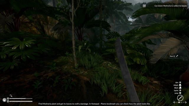 New Series: Green Hell (PS4)/(PS5) PT 1 смотреть онлайн