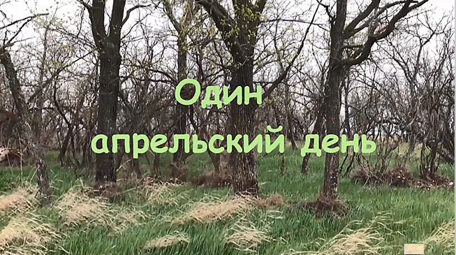 Один апрельский день.mp4 смотреть онлайн