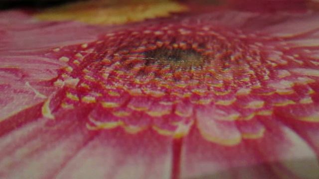 Игры со словами. Литературно - языковой блок.Word games. смотреть онлайн