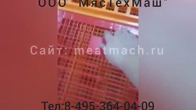 Ящик для транспортировки и разведения птицы.