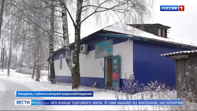 В Няндоме сотрудники полиции задержали подозреваемого в грабежах и разбое смотреть онлайн