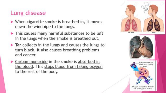 Year 6 Part 1 Effects of smoking on the body 9 April 2020 смотреть онлайн