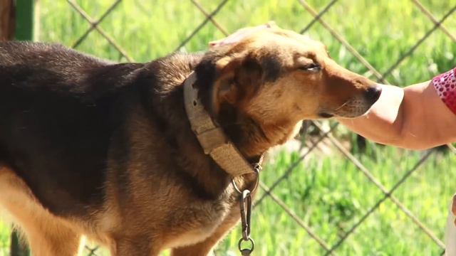 Ненужная верность смотреть онлайн