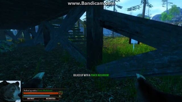 Прохождение игры Bear Simulator #1 смотреть онлайн