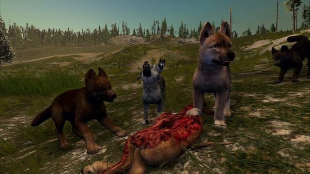 Achievements: Share Your Ideas!