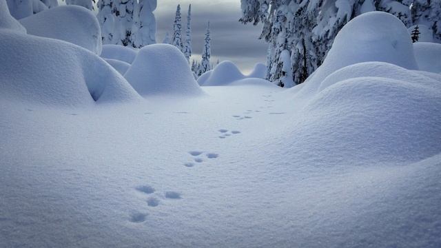 Эдуард Хиль - Белые Сугробы // Eduard Hill - White Drifts (LYRICS | ТЕКСТ - ENG | РУС) смотреть онлайн