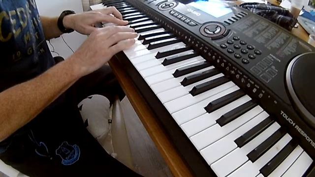 Fireflies by Owl City - Keyboard beginner after 2 months смотреть онлайн