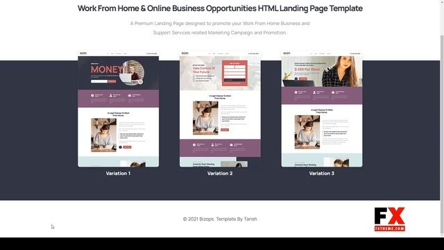 Bizops - Online Business Opportunities HTML Landing Page Template 15 work from home смотреть онлайн
