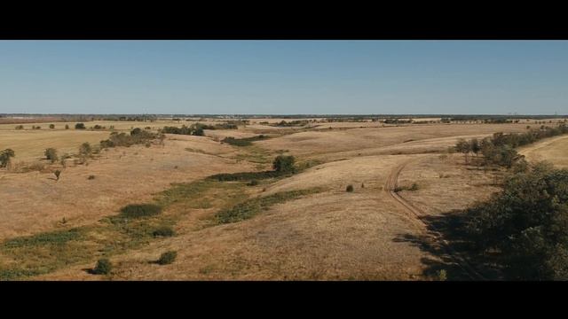Оранжерея. Сегодня (10 Августа 2017) смотреть онлайн