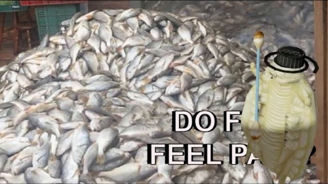 How Fish Is Made - An Absurd & Unsettling Fishy Horror Game Where Sardines Choose Their Destiny!