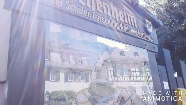 Hochschule Geisenheim- Alemania 2018 смотреть онлайн