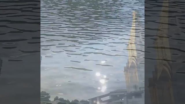 Наш дом СЕРГЕЙ СВЕТЛОВ смотреть онлайн