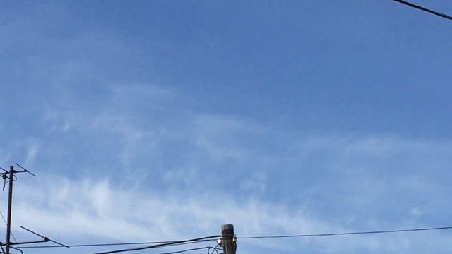 #Pigeons.Почему голуби бросают бой. смотреть онлайн
