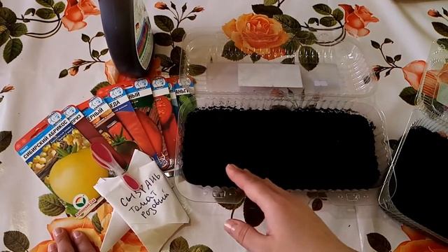 Посев семян томатов на рассаду, советы начинающим садоводам смотреть онлайн