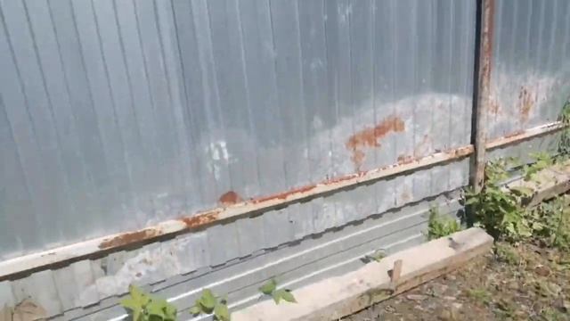 ДОМ РЕНОВАЦИИ/VLOG ДАЧНЫЙ /СИРЕНЬ ??☀? #vlog2021 #дача #моядача#сосны#свежийвоздух смотреть онлайн