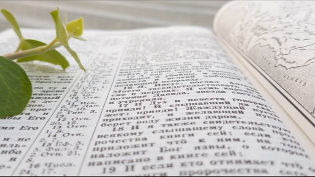 сатана просил сеять вас как пшеницу смотреть онлайн