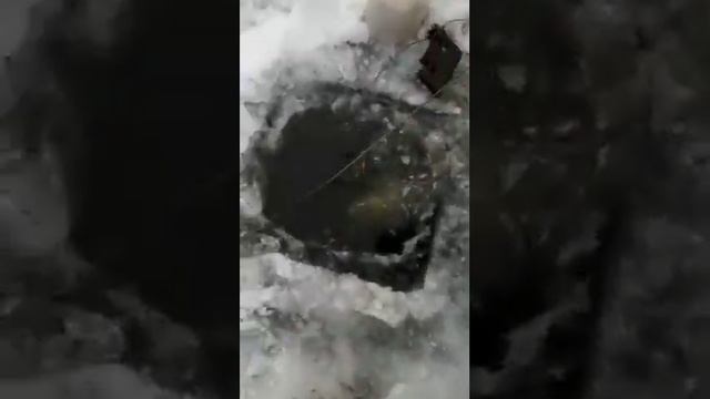 Зимняя рыбалка по кайфу смотреть онлайн