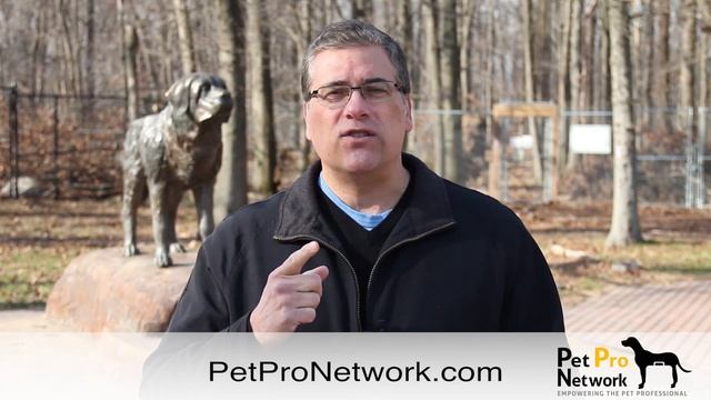 Pet Pro Network SEO Webinar смотреть онлайн