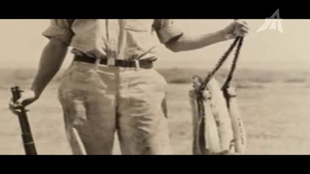 Очевидцы: проход из Австралии в Антарктиду сторожат вооружённые обезьяны и егеря смотреть онлайн